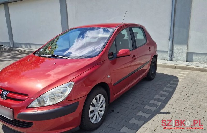 2003' Peugeot 307 1.6 photo #4