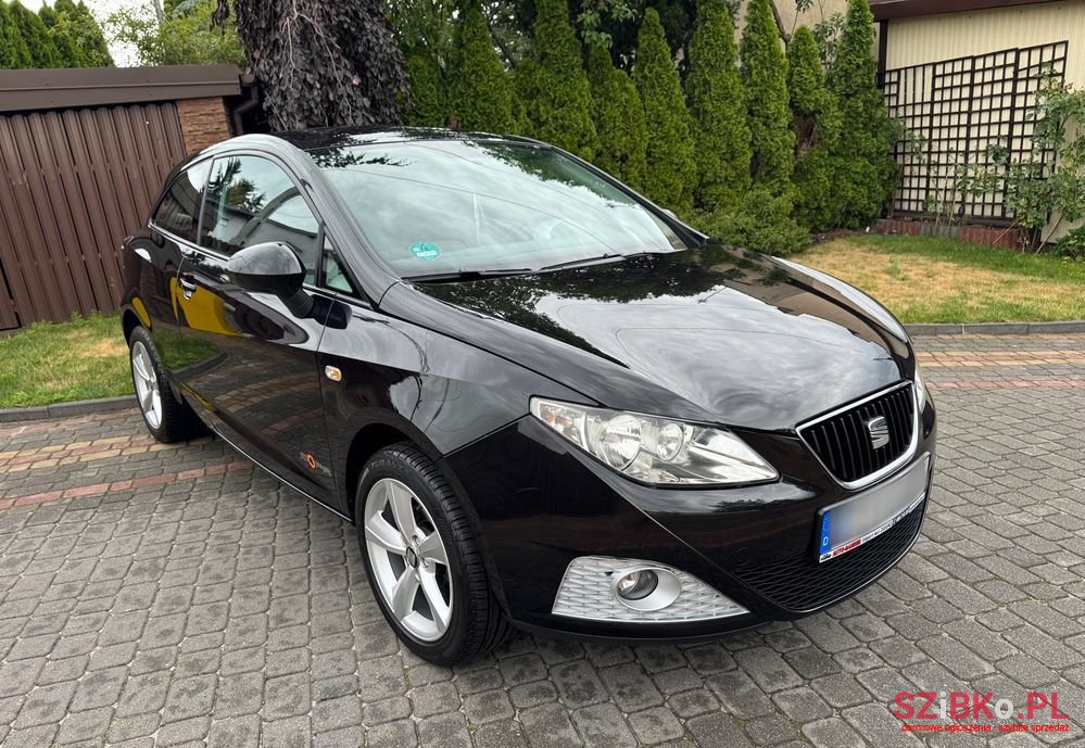 2010' SEAT Ibiza photo #2