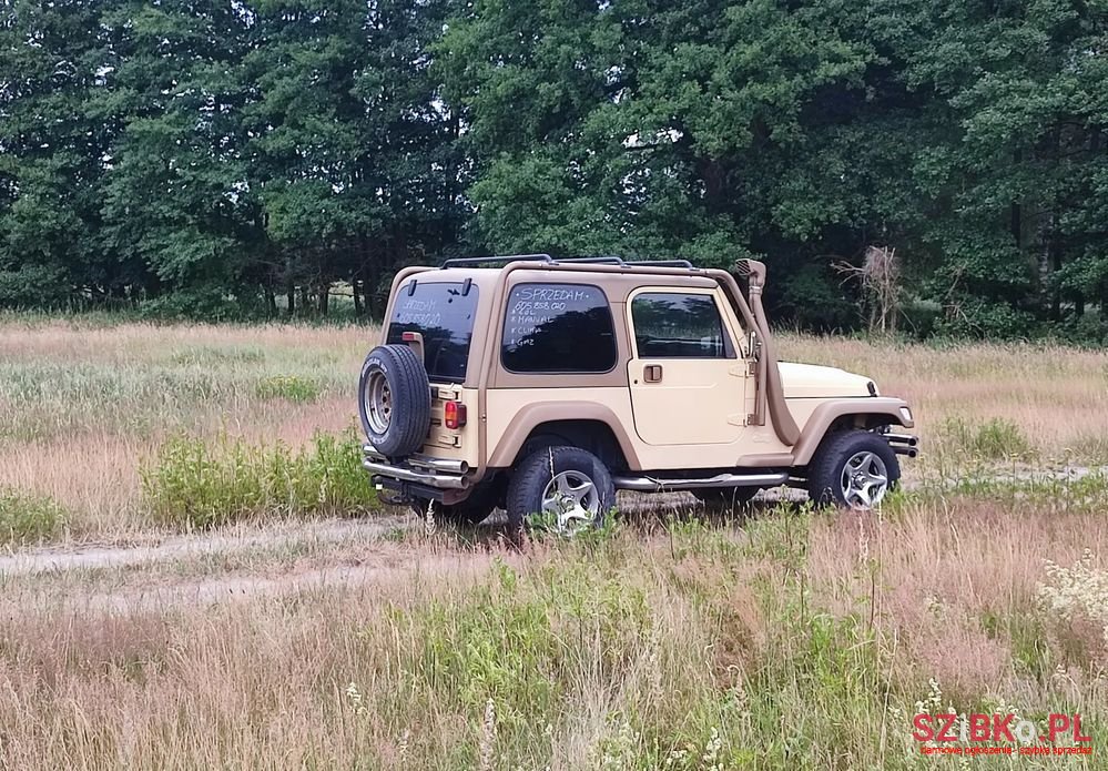 1998' Jeep Wrangler 4.0 Sport photo #5
