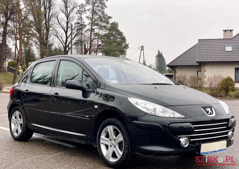 2005' Peugeot 307 Sport photo #3