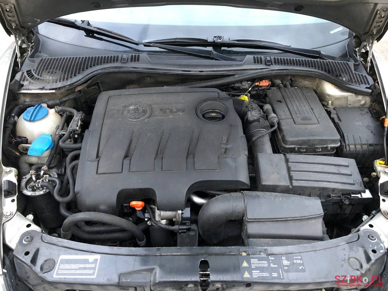 2009' Skoda Octavia A5 photo #7