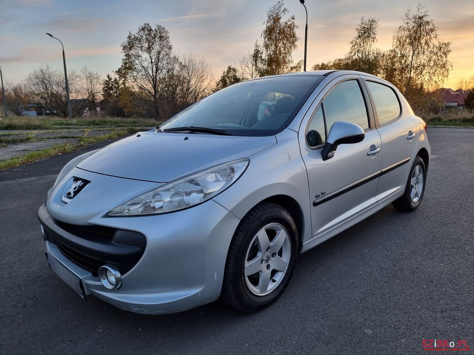 2009' Peugeot 207 photo #3