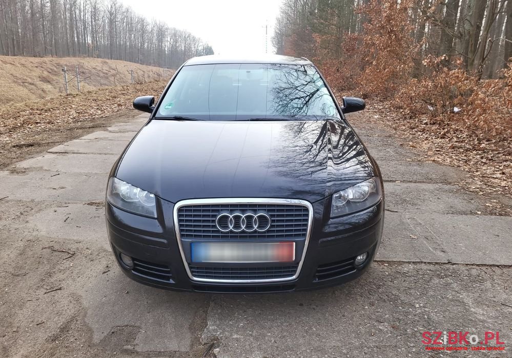 2005' Audi A3 1.6 Fsi Sportback photo #6