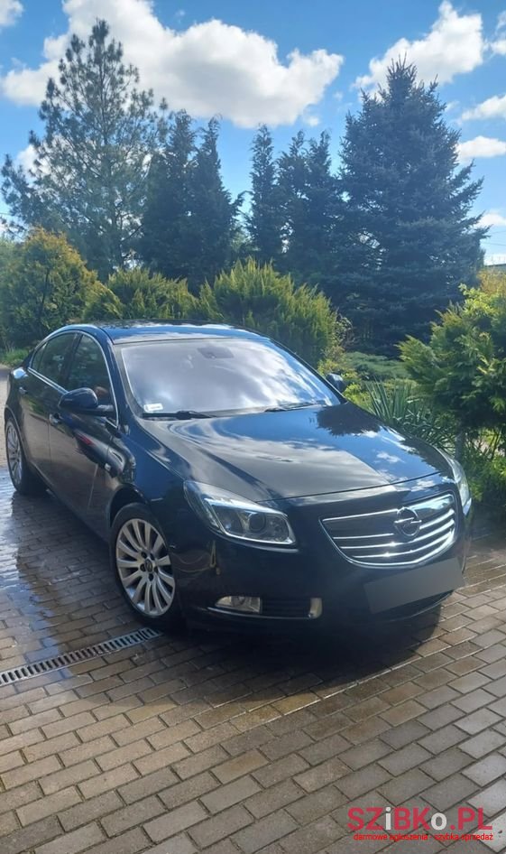 2010' Opel Insignia photo #1