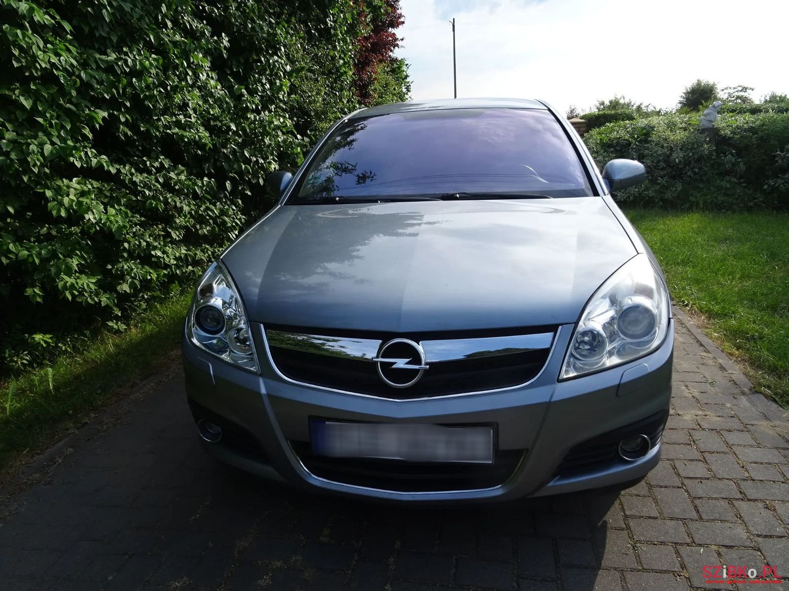 2005' Opel Signum photo #4