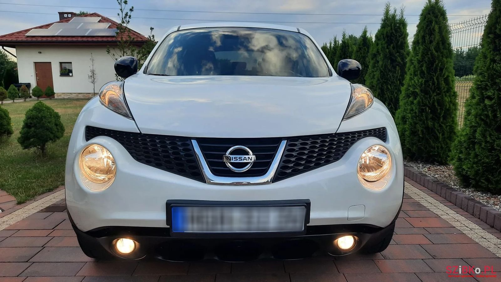 2013' Nissan Juke photo #3