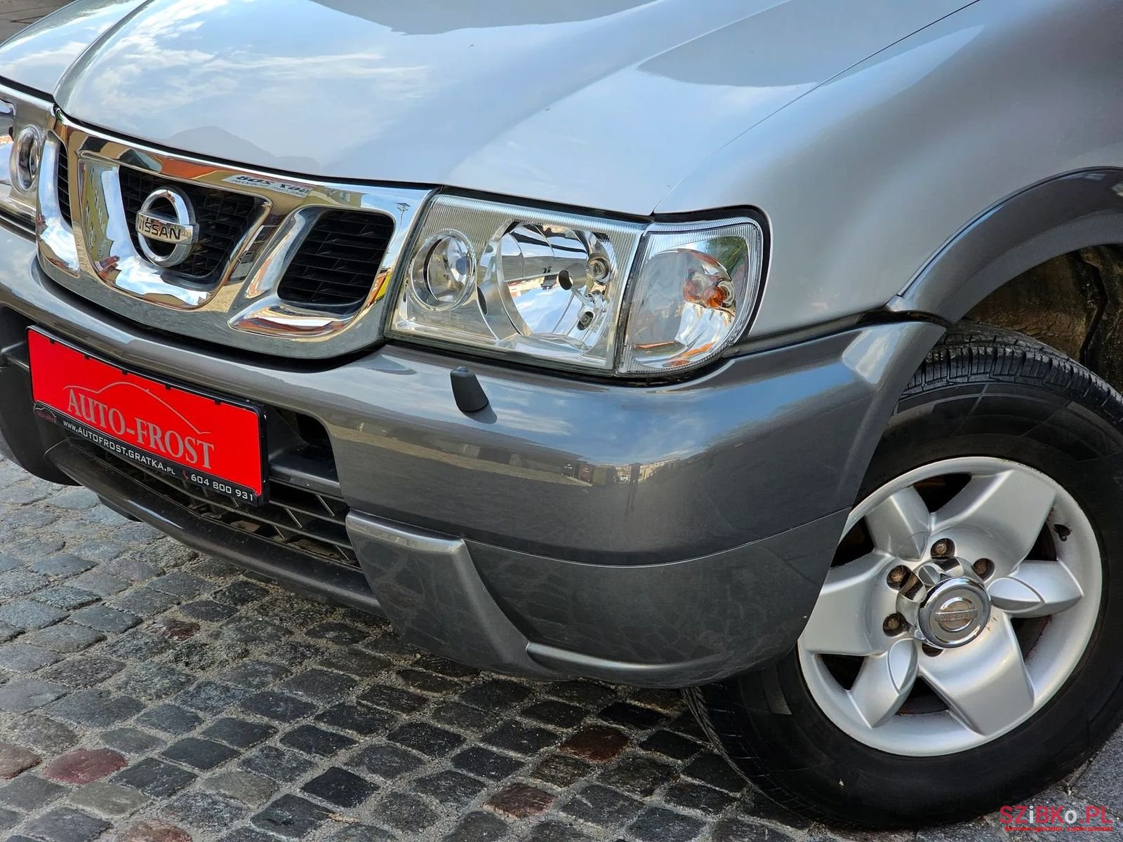 2002' Nissan Terrano photo #4