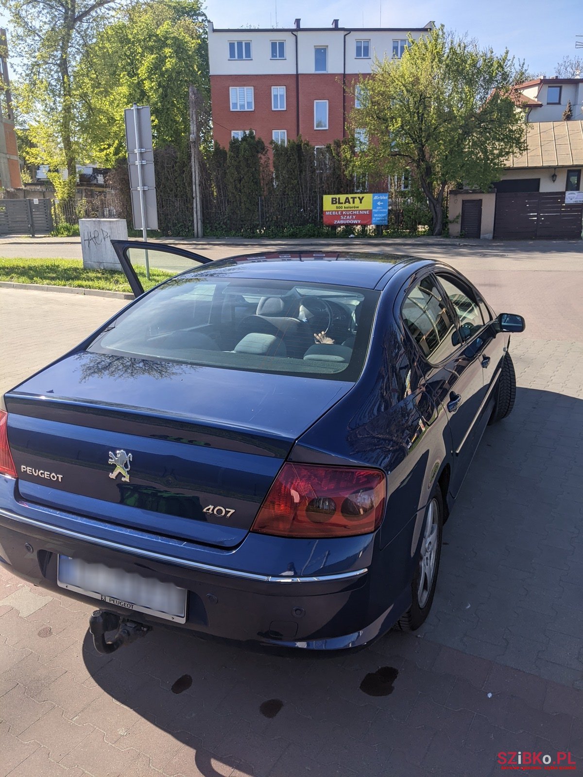 2007' Peugeot 407 photo #7