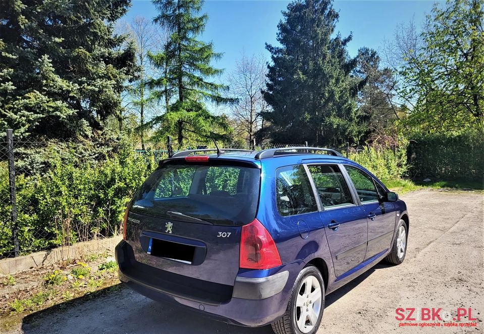 2003' Peugeot 307 photo #2