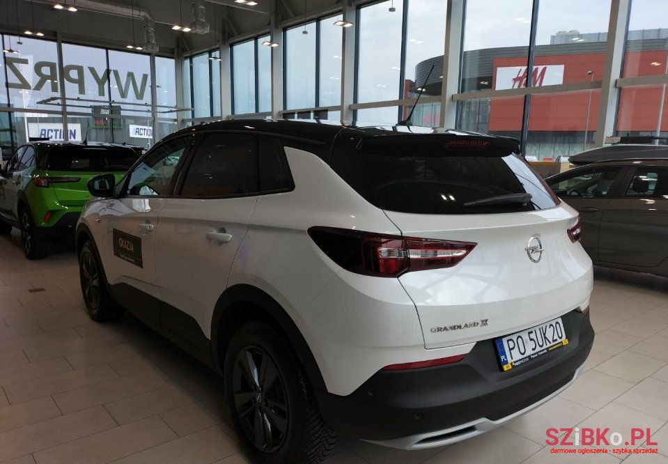 2021' Opel Grandland X photo #4