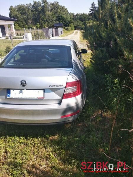 2015' Skoda Octavia photo #3