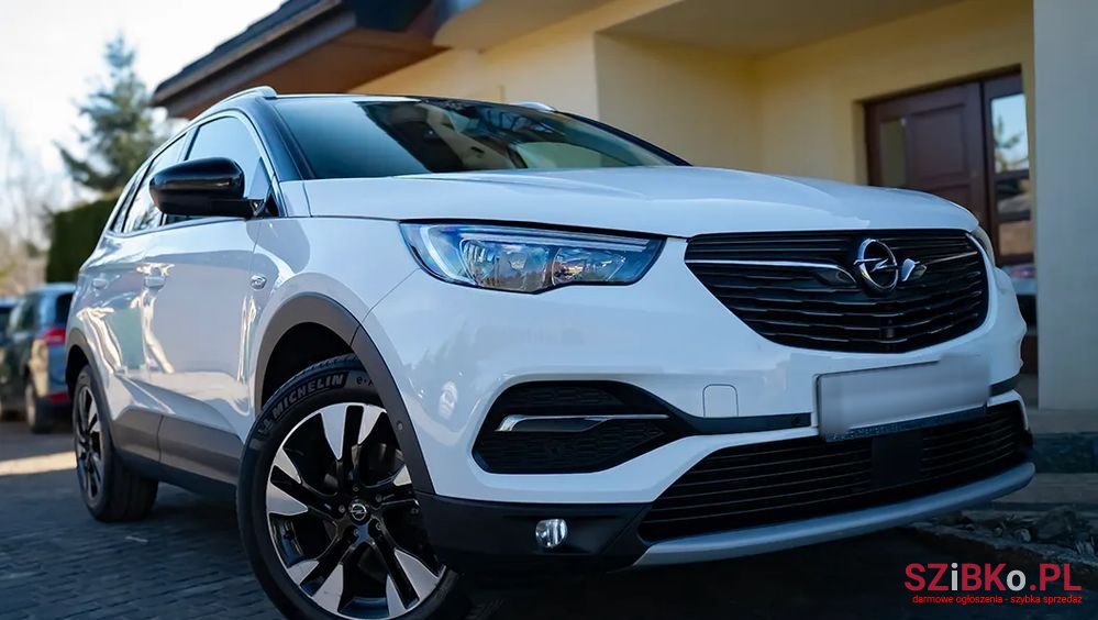 2019' Opel Grandland X photo #4