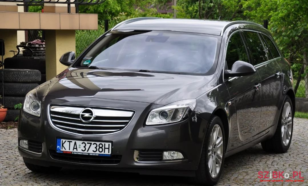 2010' Opel Insignia photo #1