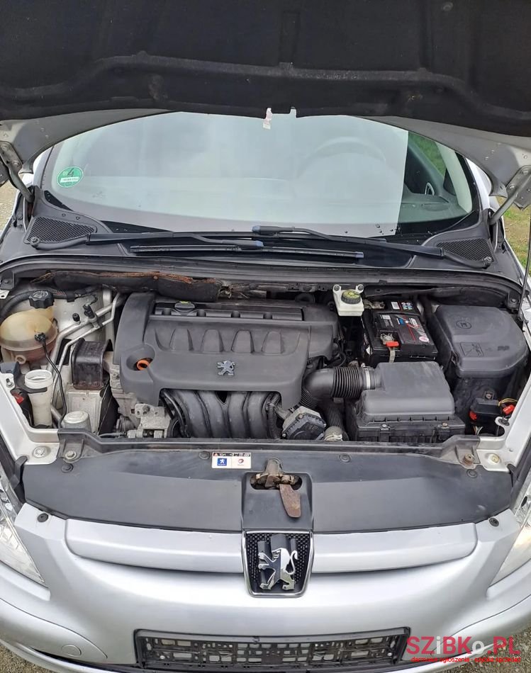 2005' Peugeot 307 2.0 photo #6