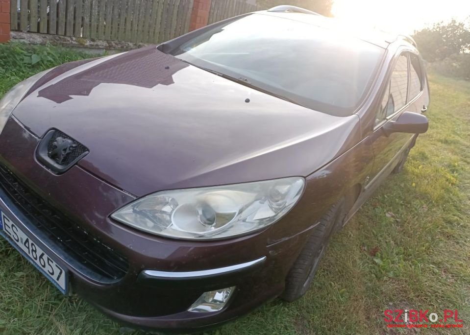 2006' Peugeot 407 photo #2