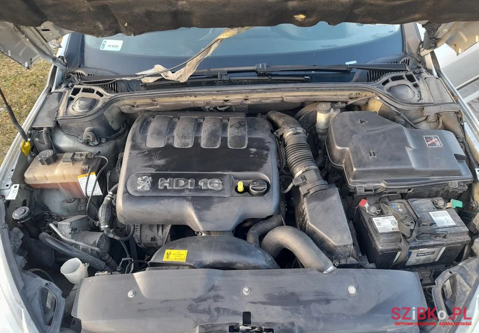 2004' Peugeot 407 photo #6