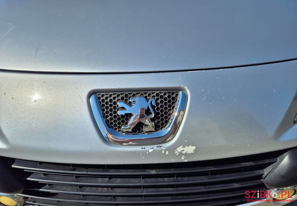 2007' Peugeot 307 photo #6
