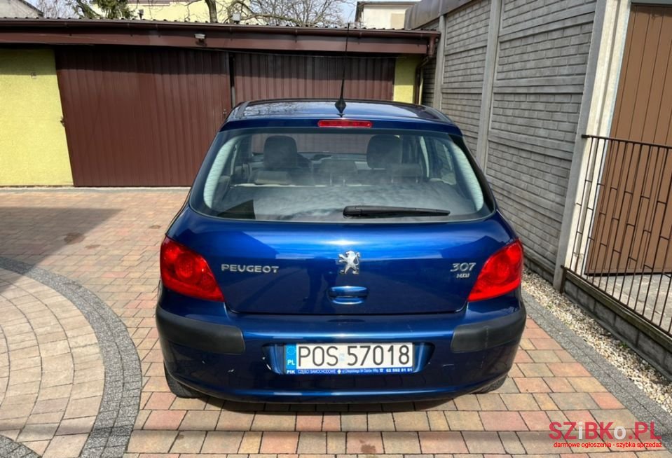 2006' Peugeot 307 photo #6