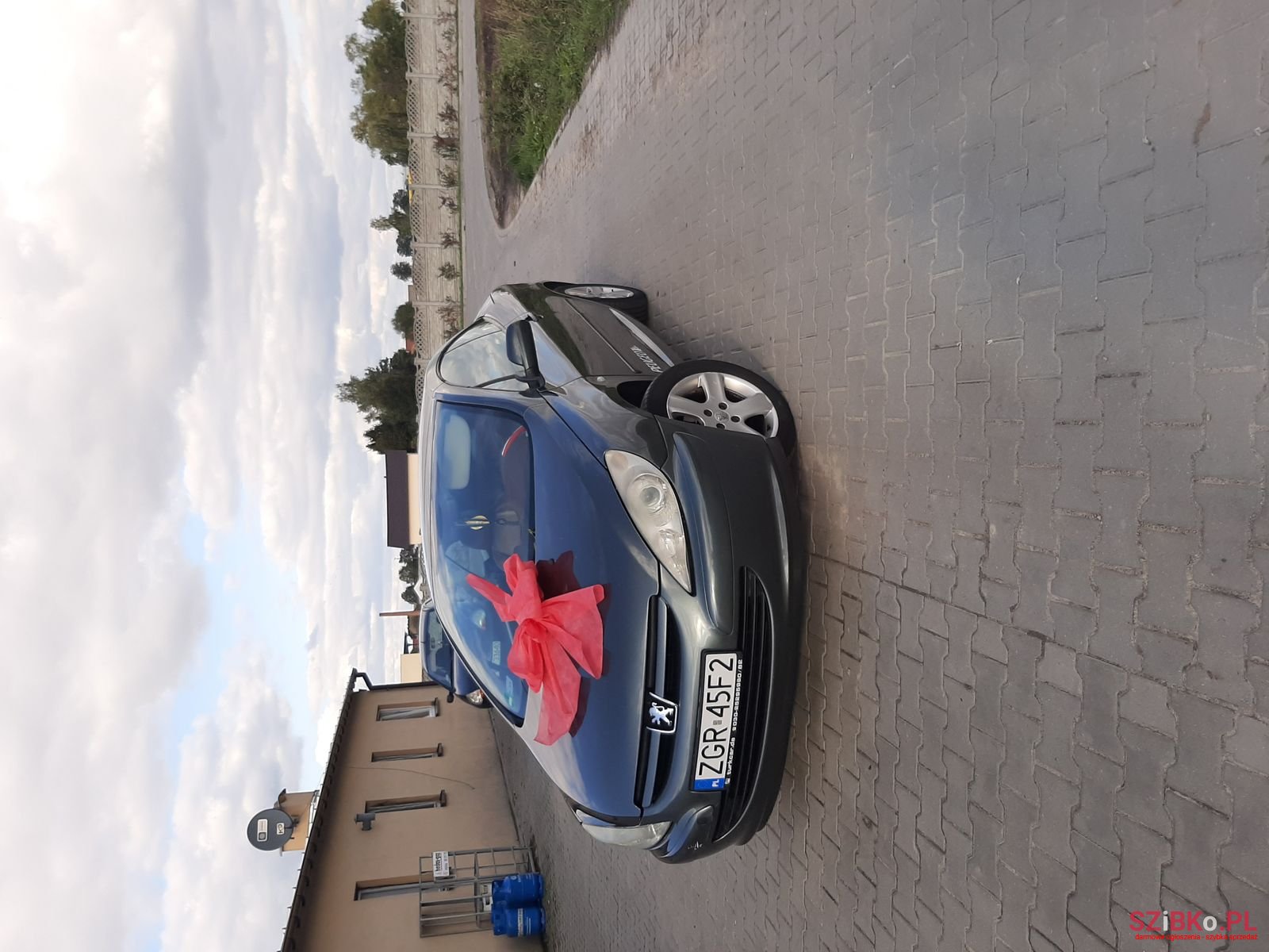 2004' Peugeot 307 photo #2