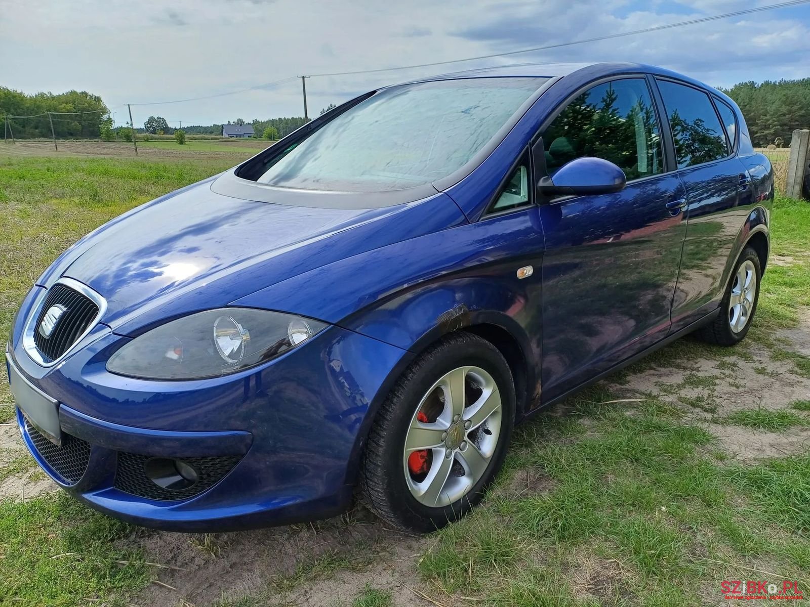 2006' SEAT Toledo photo #3
