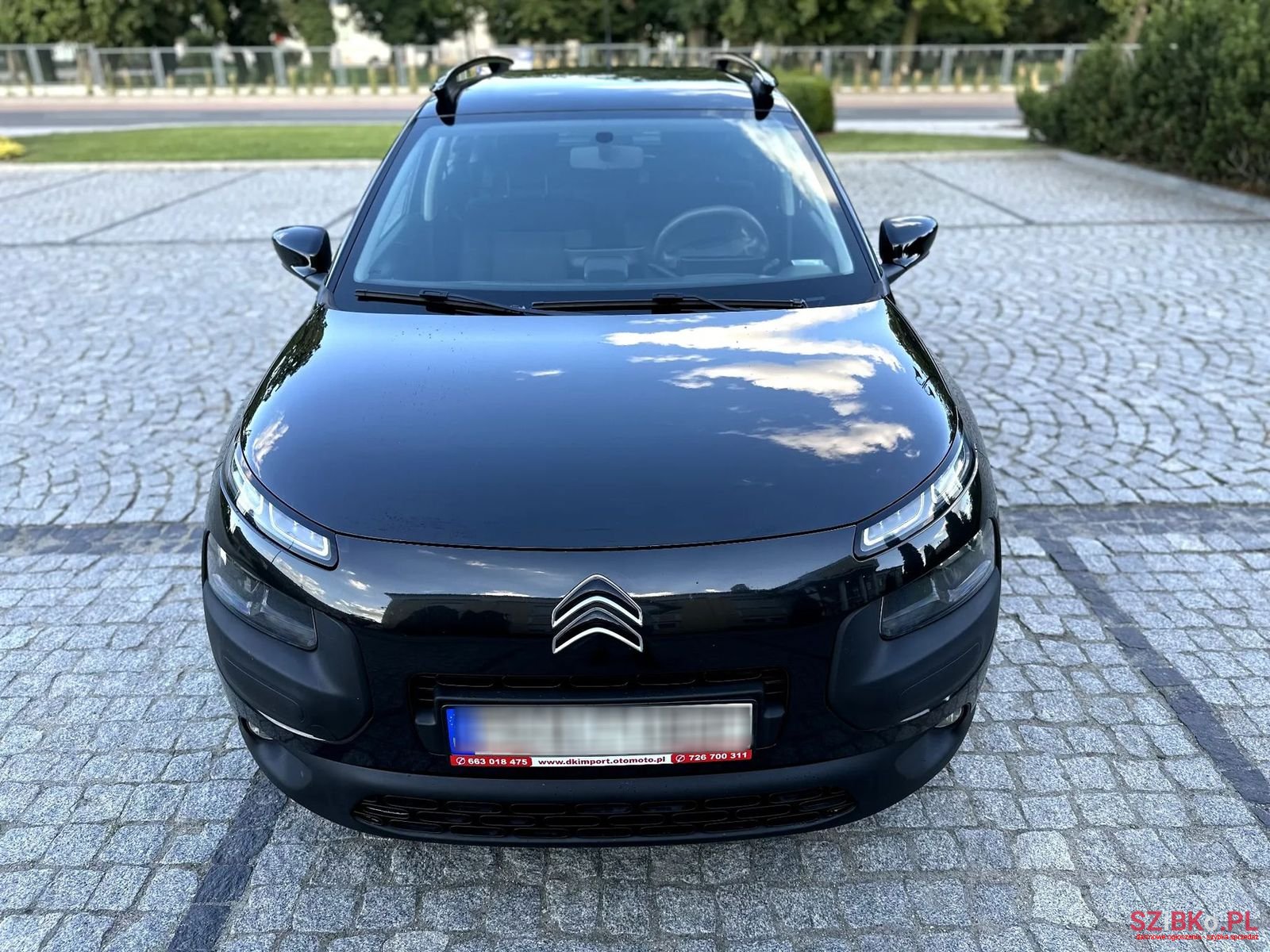 2014' Citroen C4 Cactus photo #3