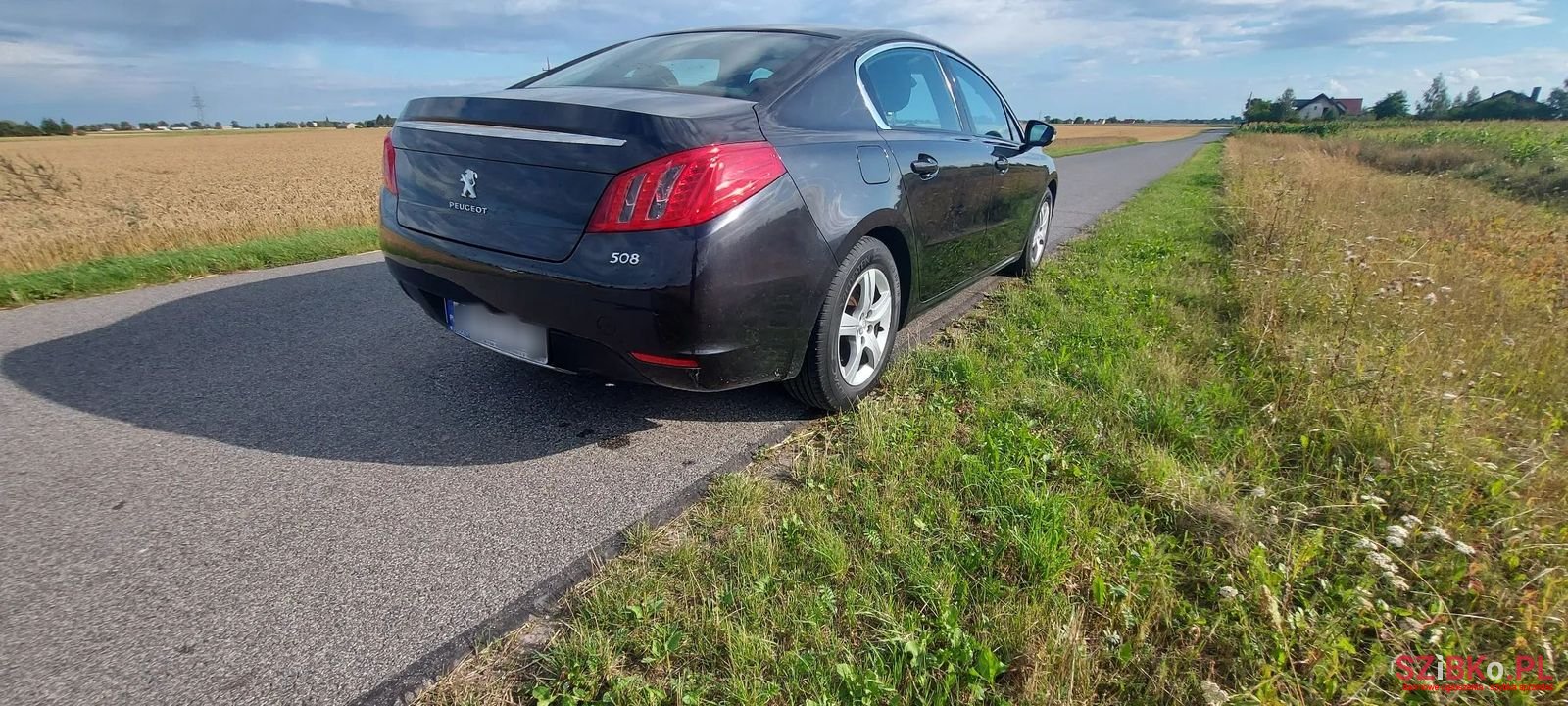 2012' Peugeot 508 photo #5