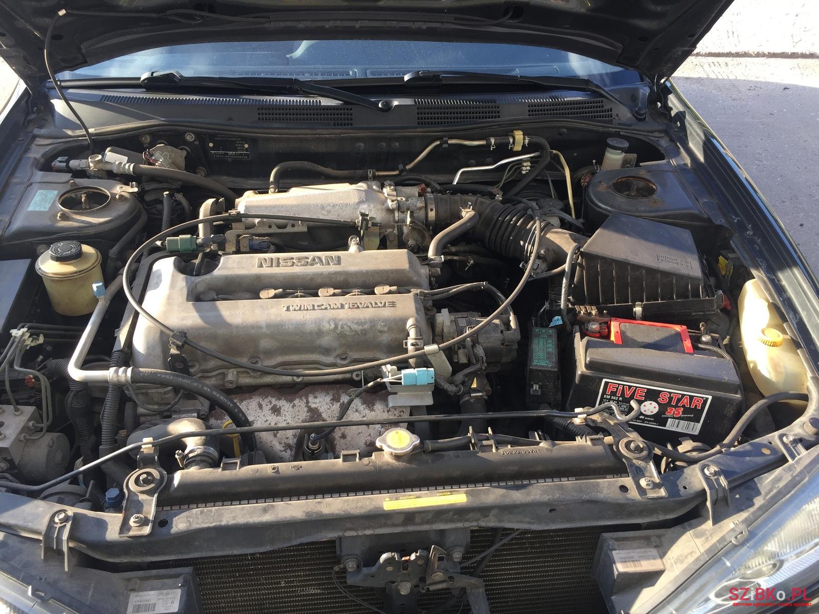 2001' Nissan Primera photo #6