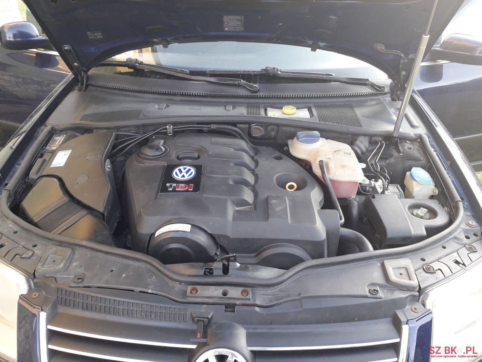 2003' Volkswagen Passat B5 Kombi photo #2