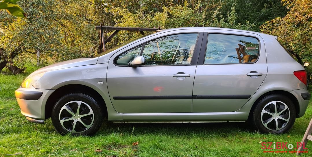 2003' Peugeot 307 photo #6