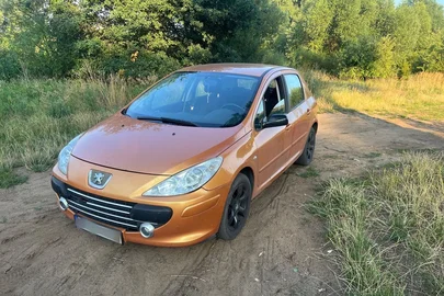 2006' Peugeot 307