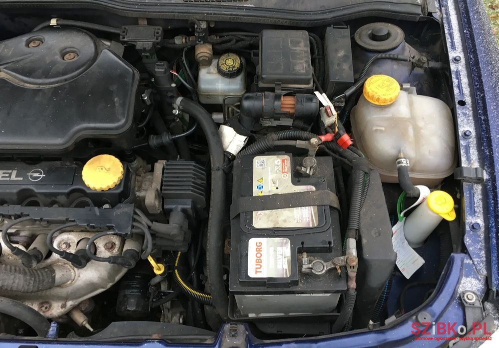 2000' Opel Astra 1.6 Base photo #3