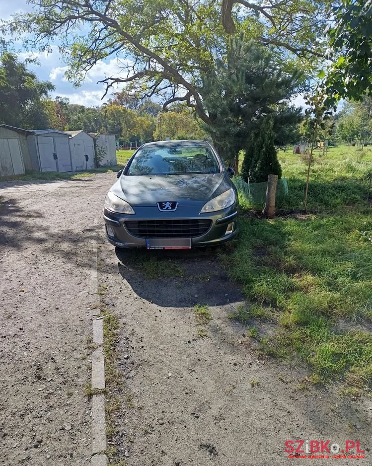 2007' Peugeot 407 photo #1