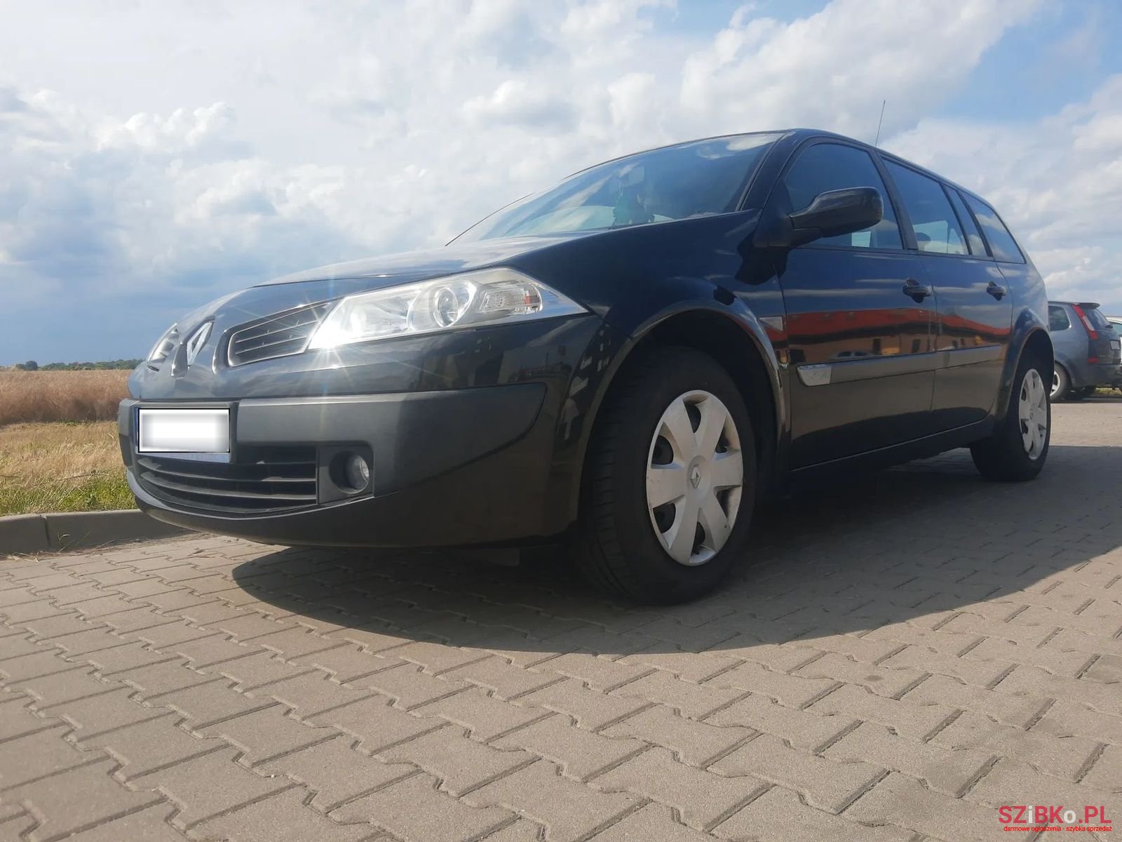 2007' Renault Megane photo #4