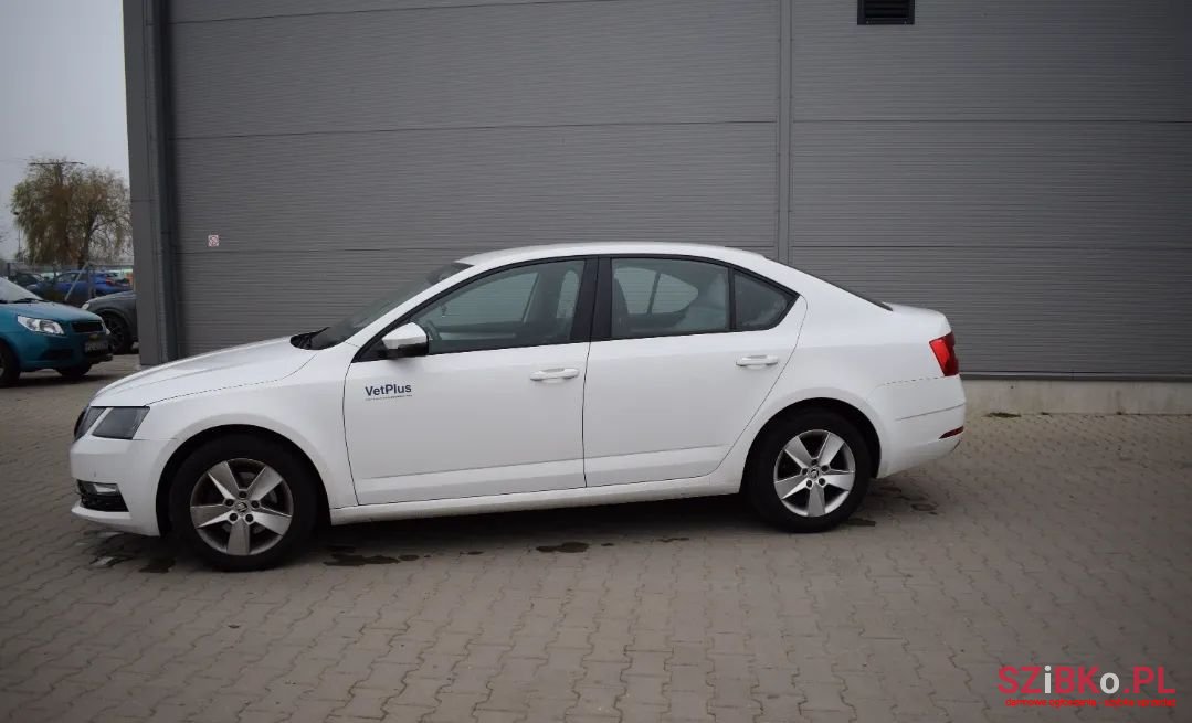2017' Skoda Octavia photo #4