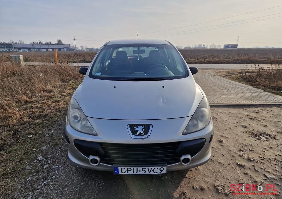 2005' Peugeot 307 photo #6