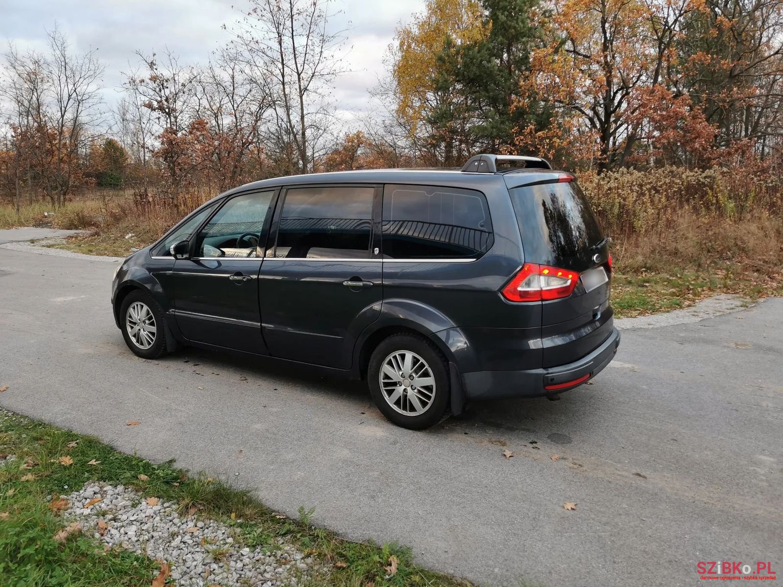 2006' Ford Galaxy photo #4
