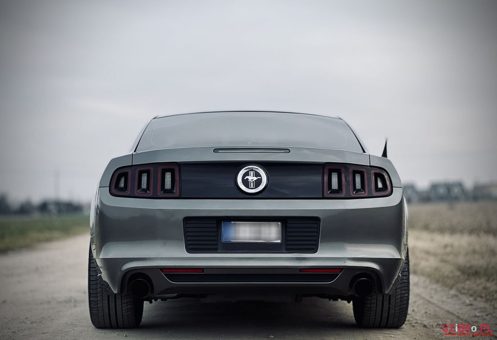 2013' Ford Mustang photo #6