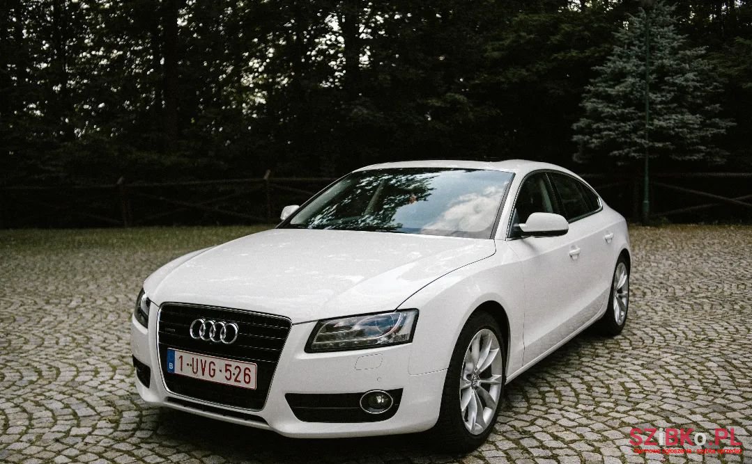 2010' Audi A5 photo #1