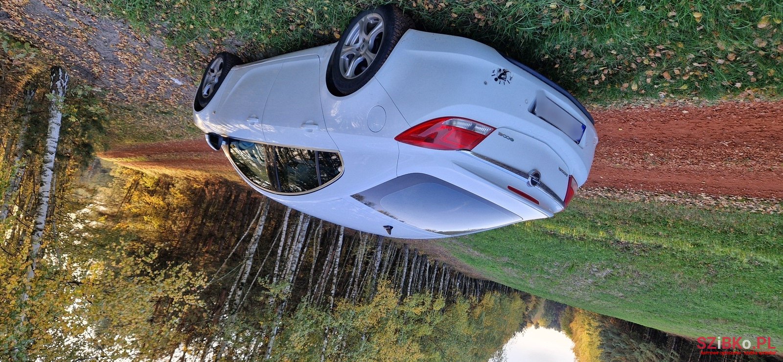 2011' Opel Signum Insignia photo #3