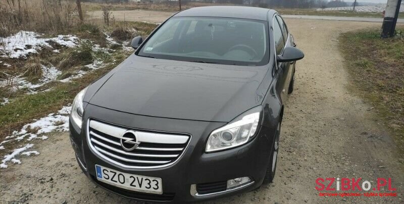 2010' Opel Insignia photo #1