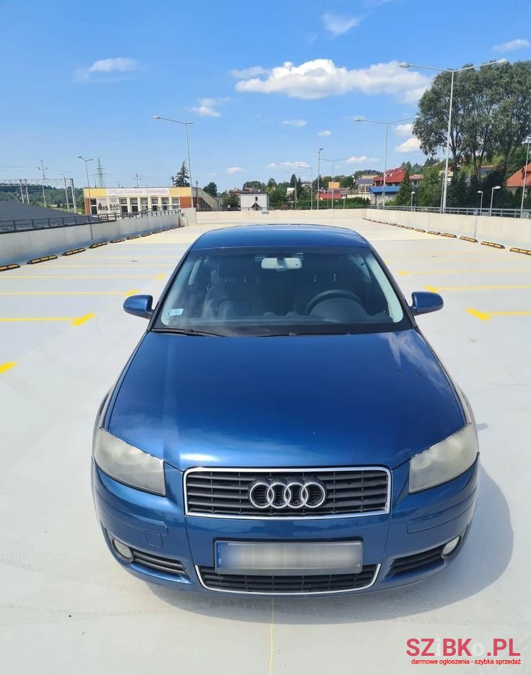 2003' Audi A3 1.6 Attraction photo #2