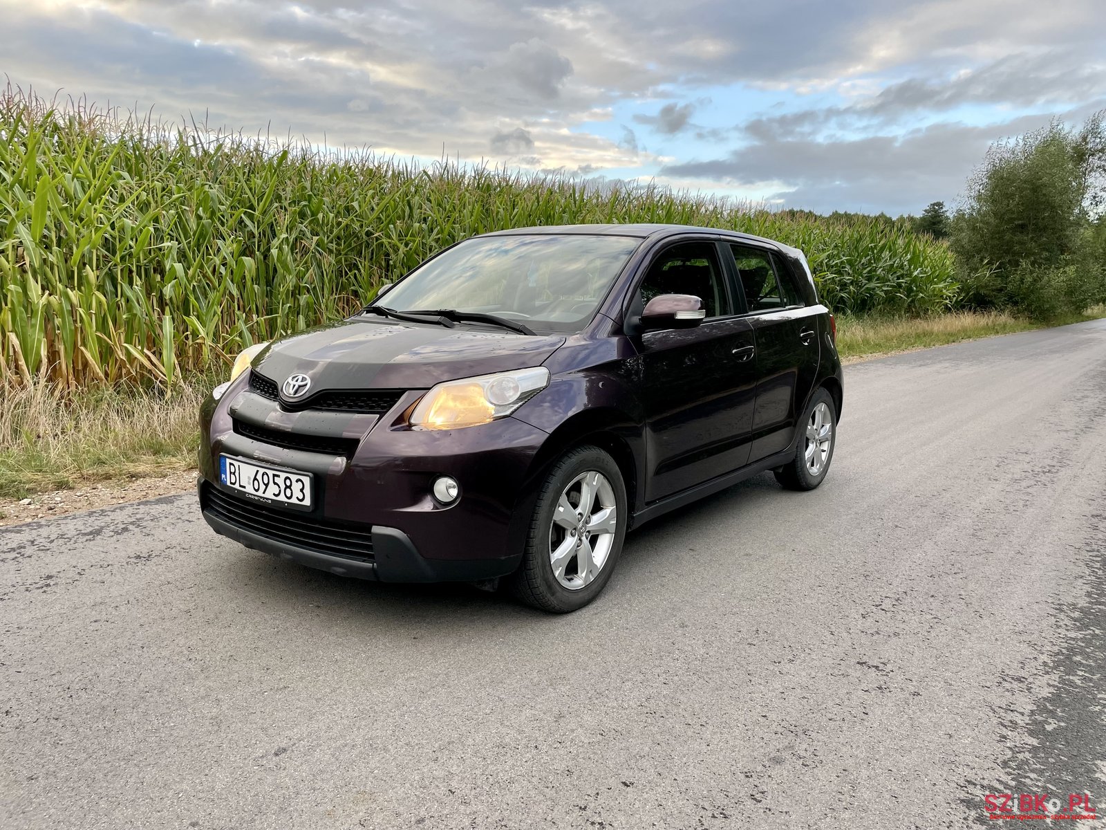 2009' Toyota Urban Cruiser photo #1