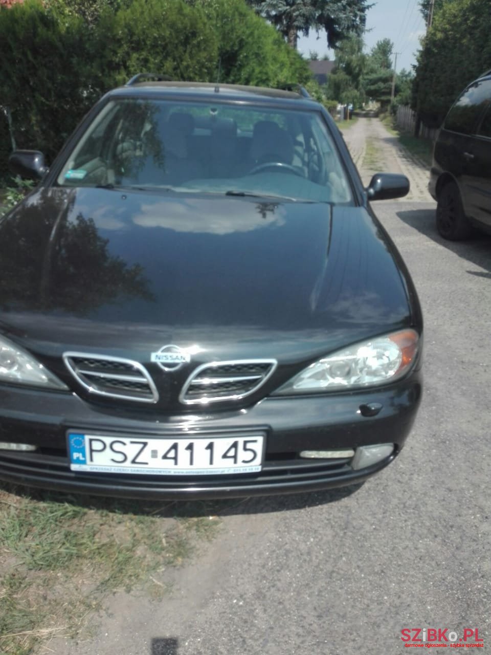 2001' Nissan Primera photo #3