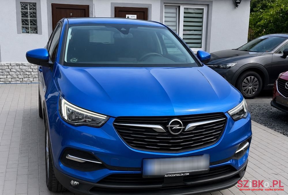 2019' Opel Grandland X photo #6