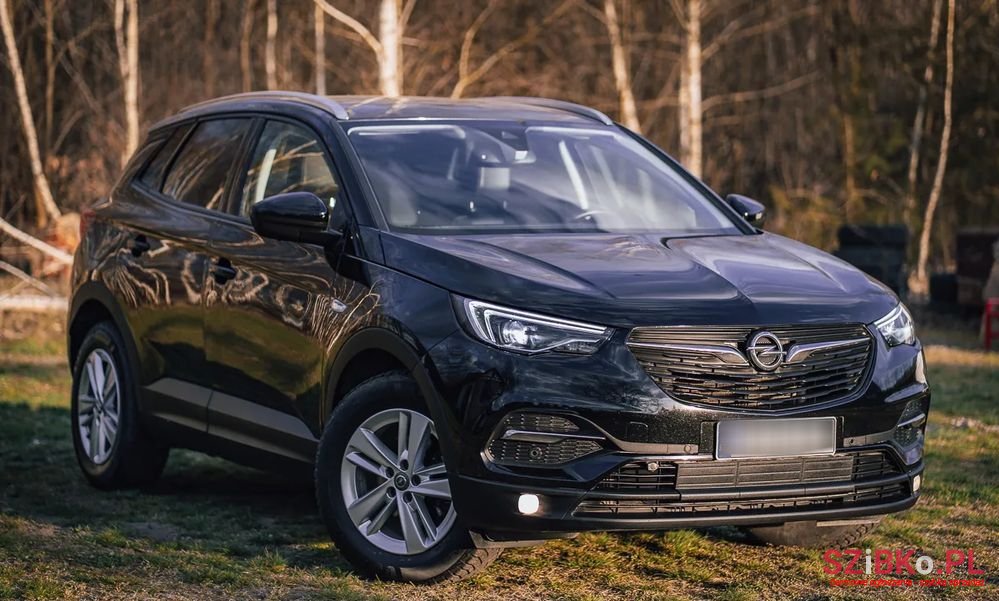 2018' Opel Grandland X photo #1