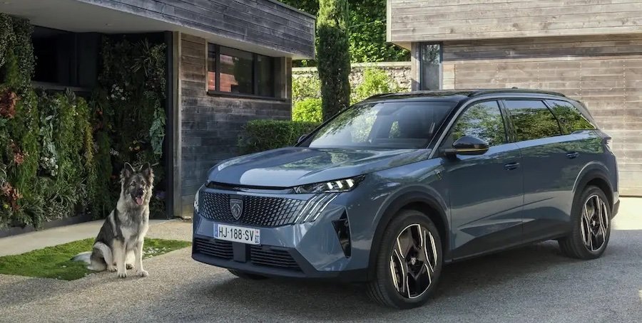 Peugeot E-5008 Dog Edition