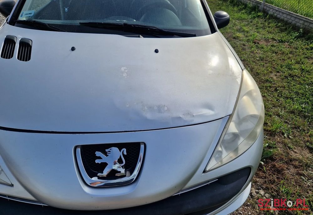 2009' Peugeot 206 photo #3