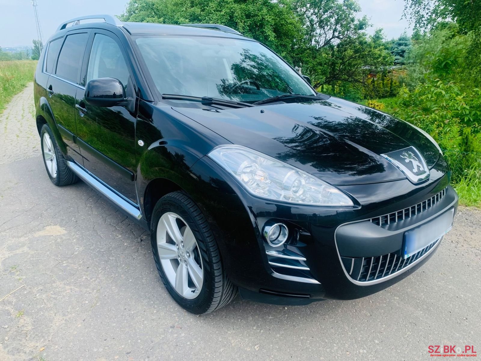 2008' Peugeot 4007 photo #2