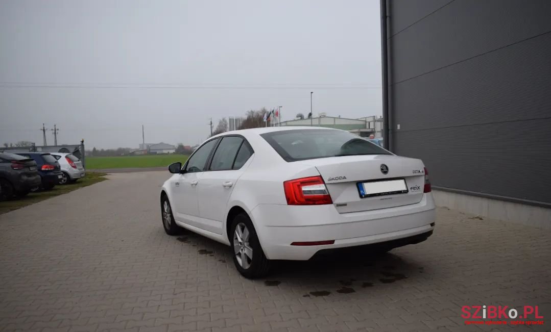 2017' Skoda Octavia photo #5