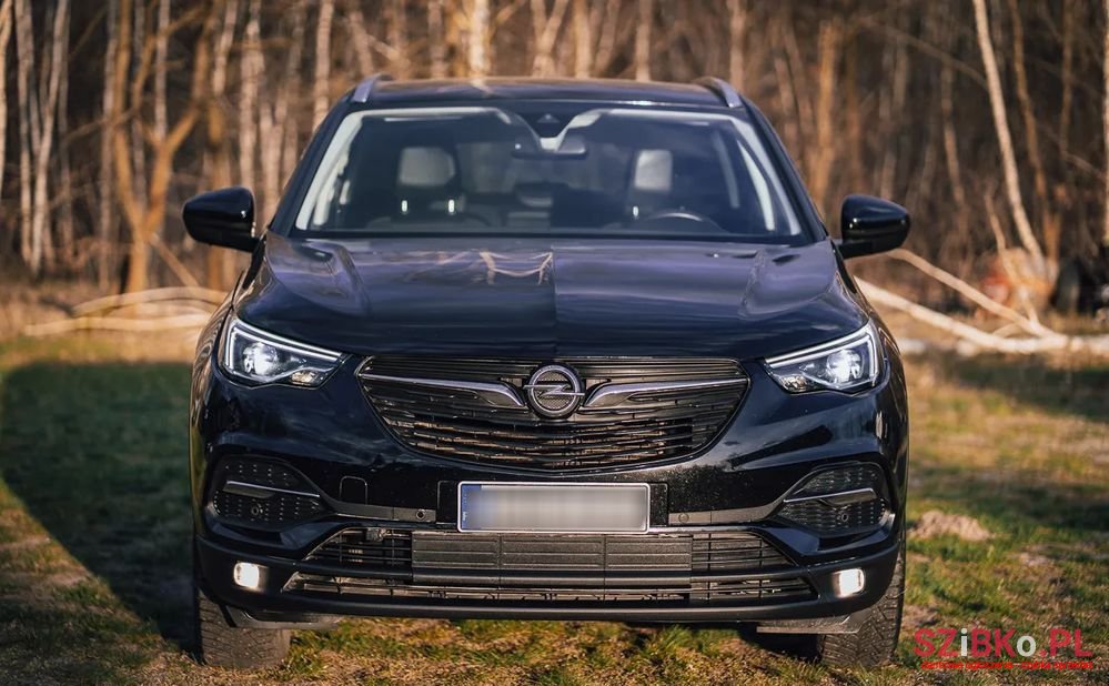 2018' Opel Grandland X photo #2